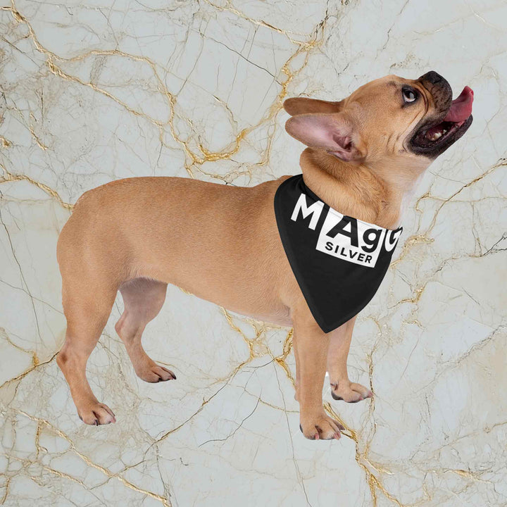 Make Silver Great: Pet Bandana