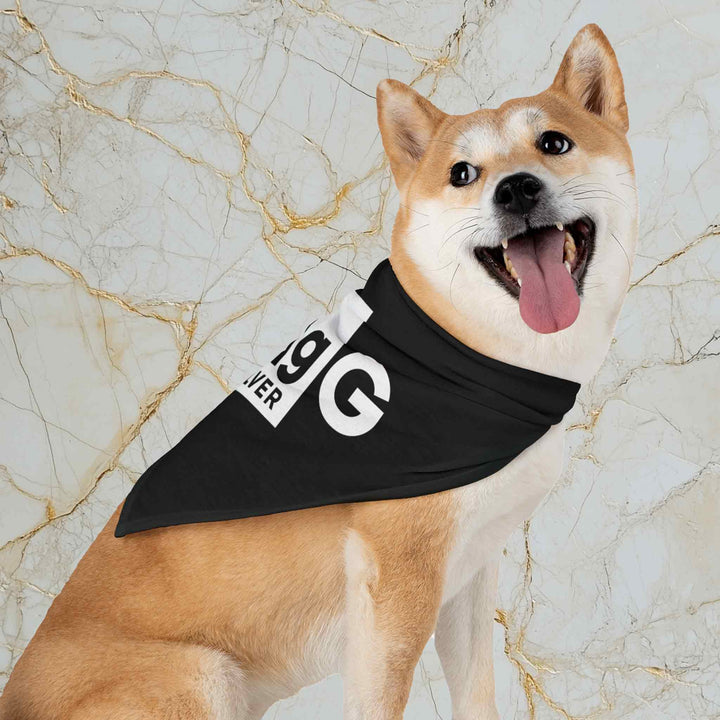Make Silver Great: Pet Bandana